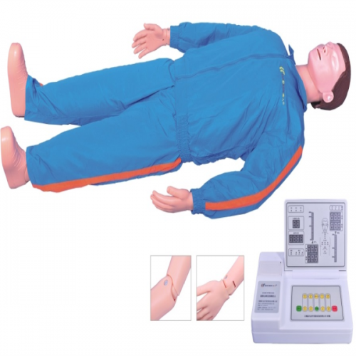 CPR Training Manikin