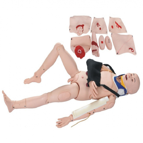 Closed Limb Fracture Fixation Training Manikin