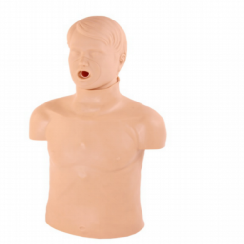 Half Body CPR Training Manikin