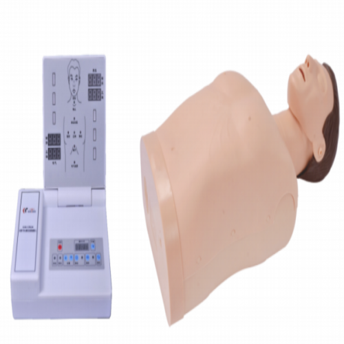 Half Body CPR Training Manikin