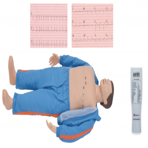 ECG simulated manikin Features :