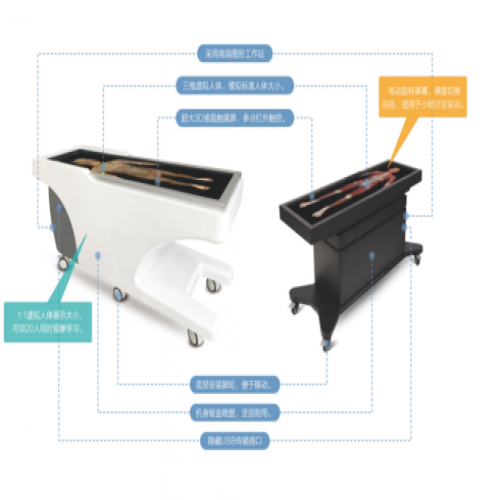 中医经络腧穴与3D虚拟解剖结合的教学平台