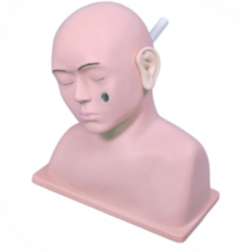 Advanced Ear Diagnostic Simulator