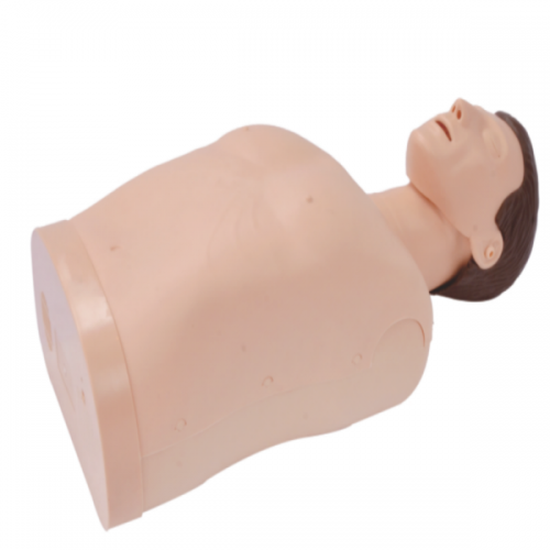 Half Body CPR Training Manikin