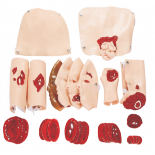 Wound assessment module(34 pcs)