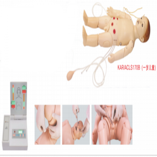 ACLS Child Training Manikin(One—year—Old)