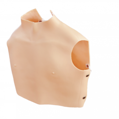 CardiopulmonaryAuscultation Training Model (vest)