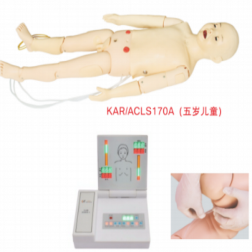 ACLS Child Training Manikin(Five—year—Old)