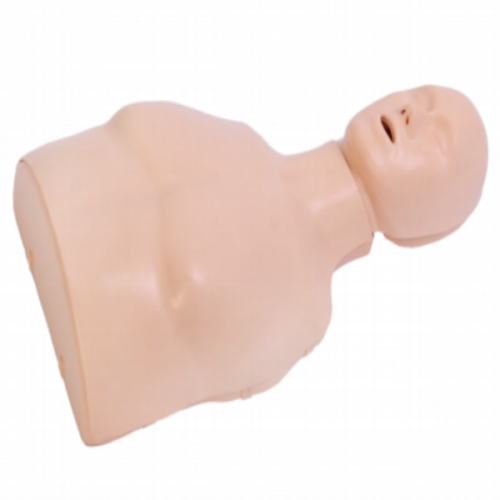 Half Body CPR Training Manikin