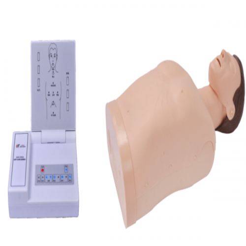 Half Body CPR Training Manikin